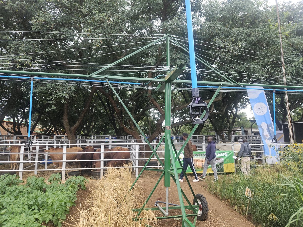 MoLAFWRD_Zim's tweet photo. *Affordable Pivot Irrigation Steals the Show at ZITF for Smallholder Farmers* 
The Agriculture for Rural Development  Director  Mr. Leonard Munamati highlighted a new low-cost pivot irrigation system aimed at making irrigation accessible to small-scale farmers, including A1,Old  resettlement, communal, and those practising Pfumvudza/Intwasa concept. He said the compact, affordable, and easy-to-use pivot requires minimal capital and can help farmers increase production and productivity, ultimately boosting income and enabling value addition from higher yields. The Ministry is showcasing the technology to encourage smallholder farmers to adopt it as a practical way to move beyond rain-fed agriculture.@HeraldZimbabwe
@obertjiri
@AgritexS
@MakaIrrigation
@ZBCNewsonline
@zfu_official
@radio_zimbabwe
@StarfmZimbabwe
#ZITF2026
#SmallScaleFarming
#PivotIrrigation
#EmpoweringFarmers
#FarmProdyctivity