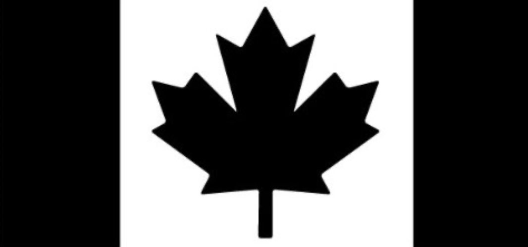 cold_north_tv's tweet photo. @bAnthonYsr BLACK CANADA, y'all don't know what being black is, being black means competing with everyone at a higher level. I guess when you can't lead you will divide. https://t.co/Wg5PYsCMGA