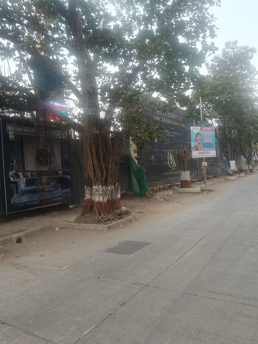 swiftblogs's tweet photo. Gift from tree authority to neelam builders . Opp neelam nagar Jain mandir , #mulund @mybmc @mybmcWardT @AshwiniBhide @MeeSagarDevre @KiritSomaiya @mulund_info @mumbaimatterz https://t.co/pC9t8nimap