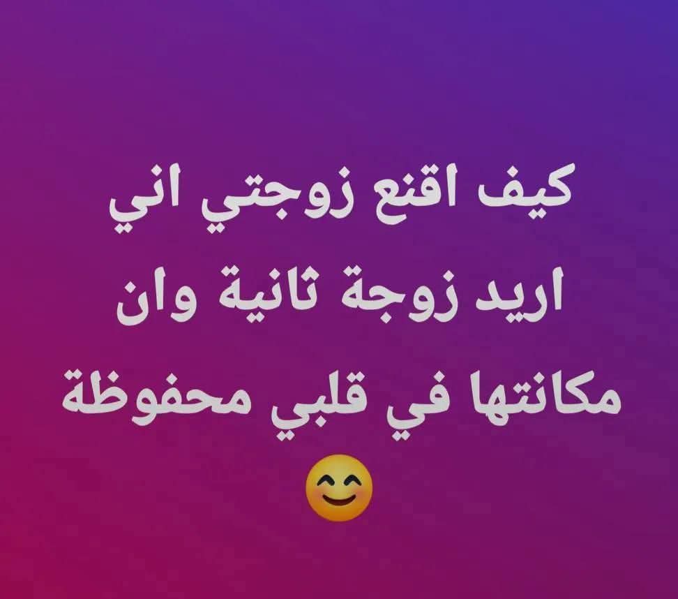 ألو أنا القطة tweet media