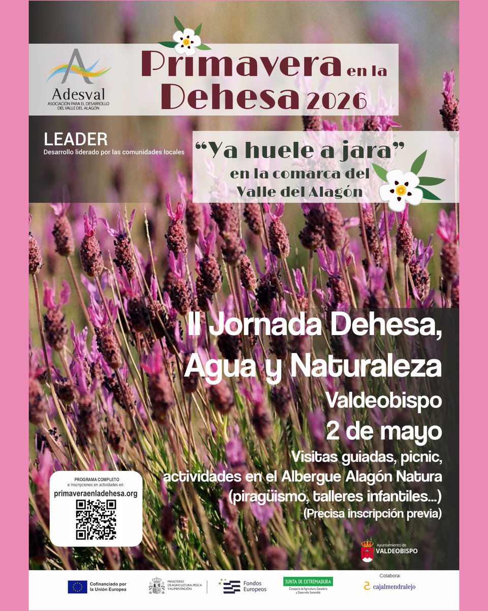 Adesval tweet media