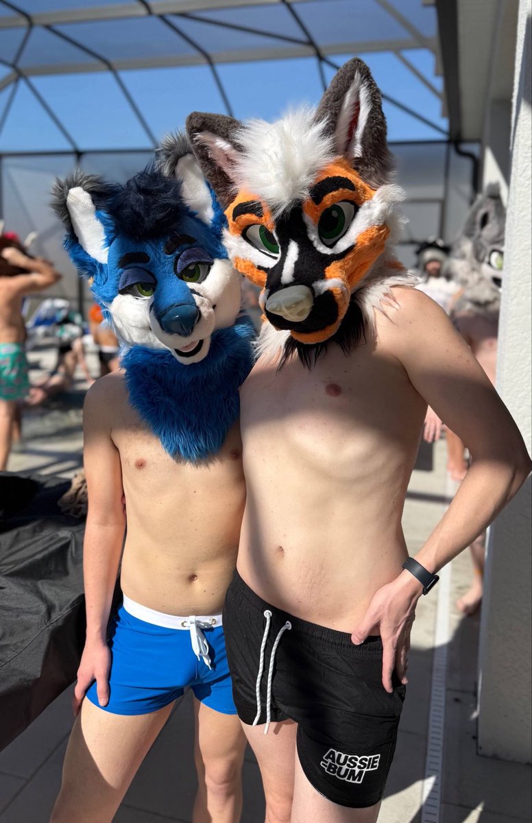 VXNRGY's tweet photo. Two baddie foxes for your timeline this #FursuitFriday

💙🦊 @ArcherFoxy https://t.co/rEeRneZjUt