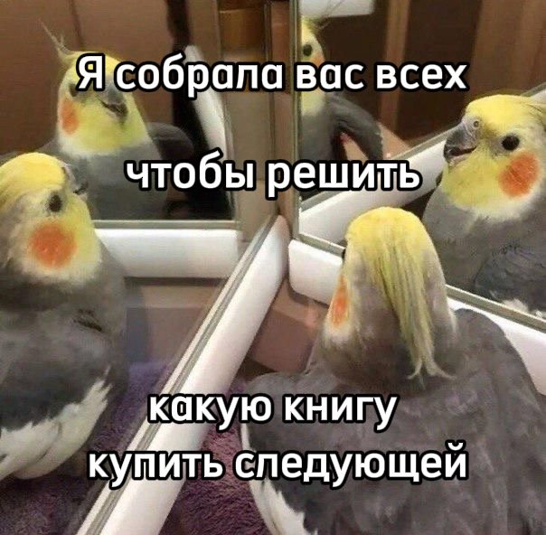 bombora.books tweet media