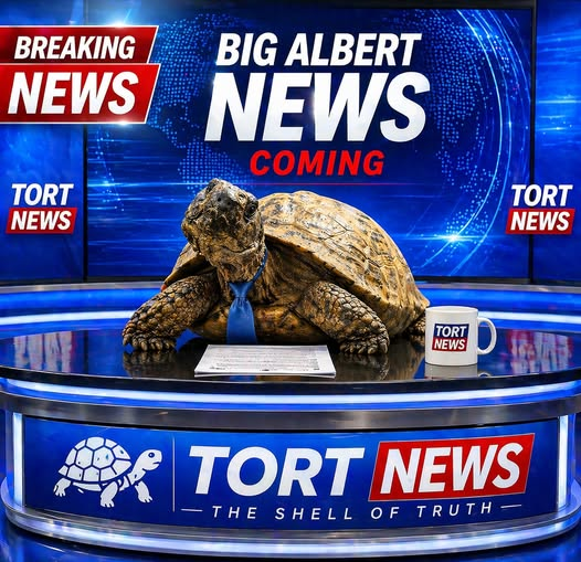 AlbertTortoise's tweet image. BREAKING NEWS - Monday April 27 is a BIG #NEWS + SHELLEBRATION DAY at #ALBERT HQ. Real #ALBERTthetortoise cannot wait to share! All will be revealed. Stay tuned. AlbertTortoise.com
#breakingnews #tortoise #bookseries #picturebooks #boardbooks #illustrated #reptile #newsdesk