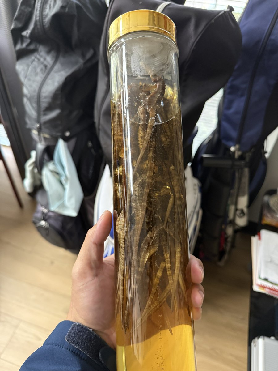 核桃叔叔 tweet media