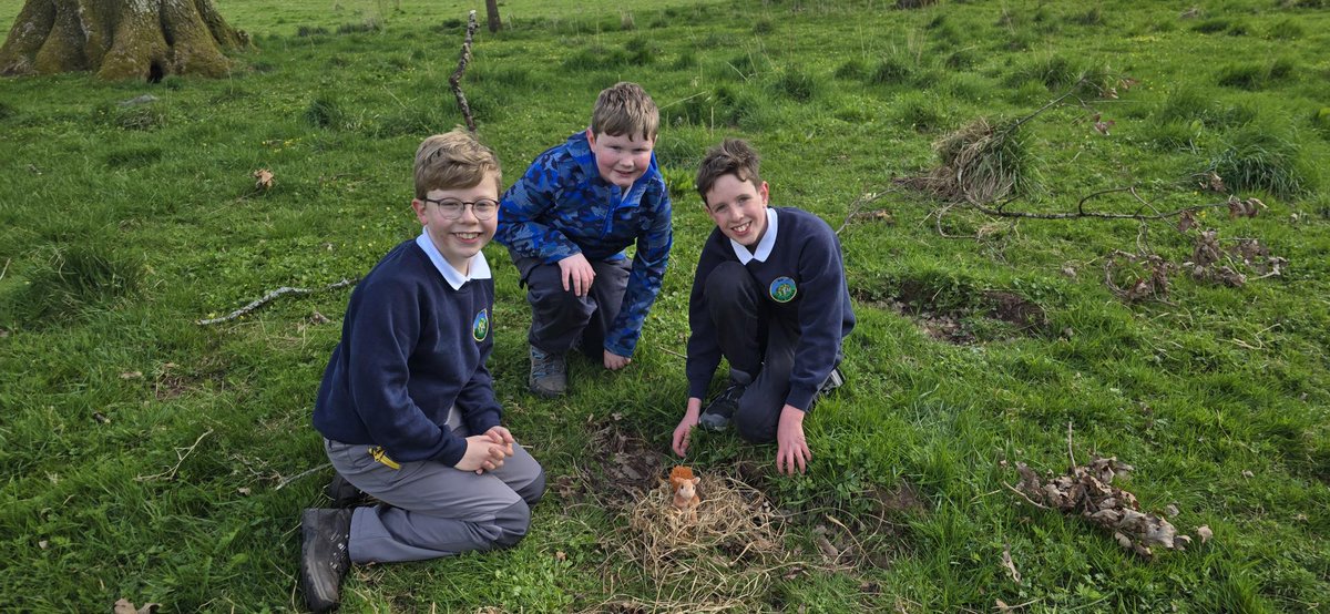 Countryside Learning tweet media