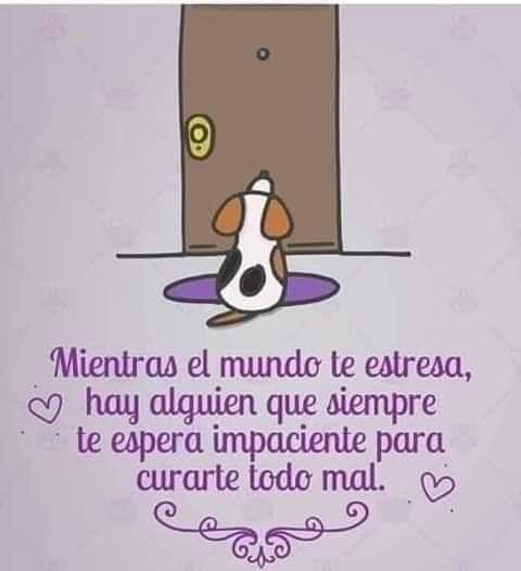 Maxi (@rey_latino33087) on Twitter photo 