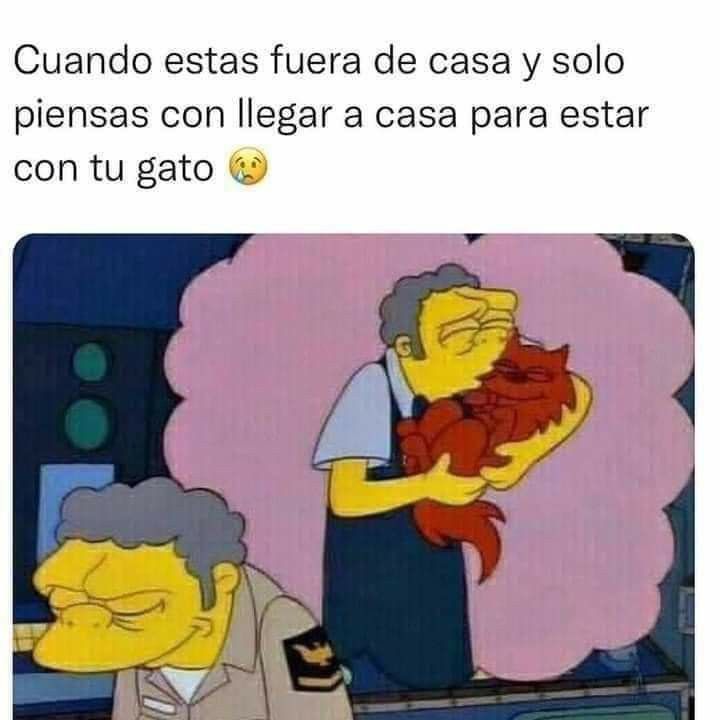 flunxo2 (@flunxo2) on Twitter photo 