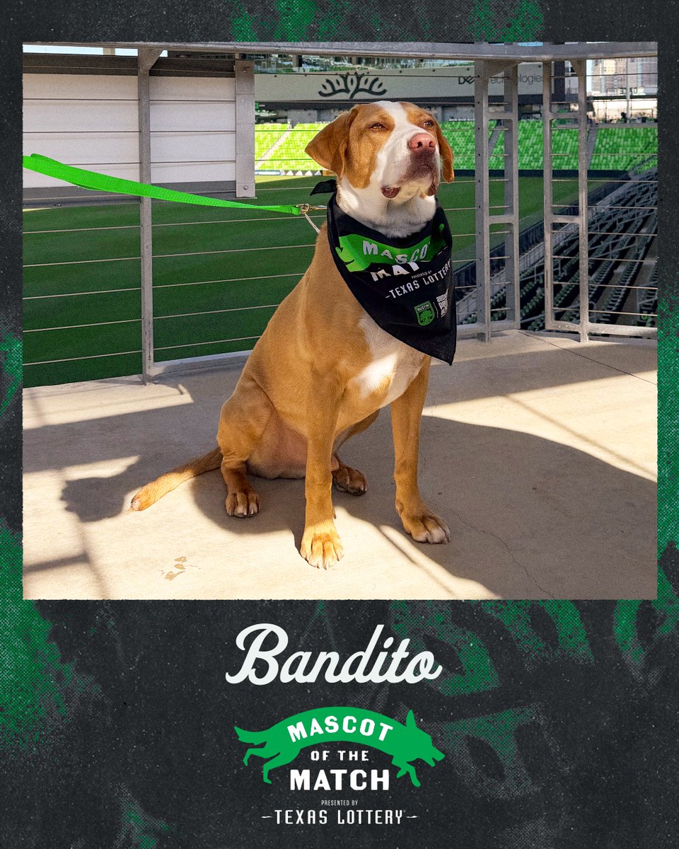 Austin FC tweet media