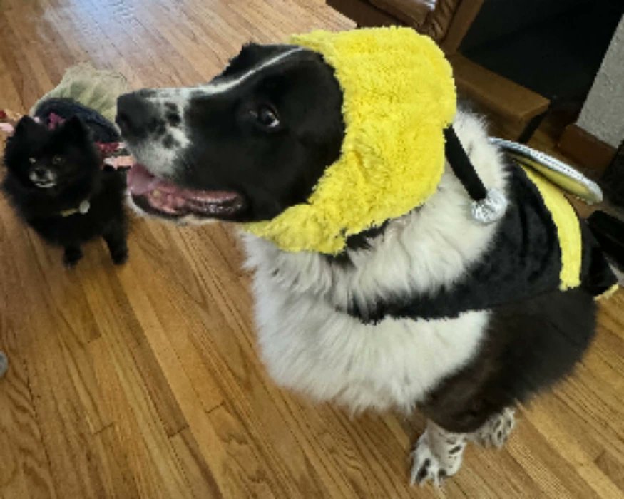 historicalsquid 🧛‍♀️🦑 tweet media