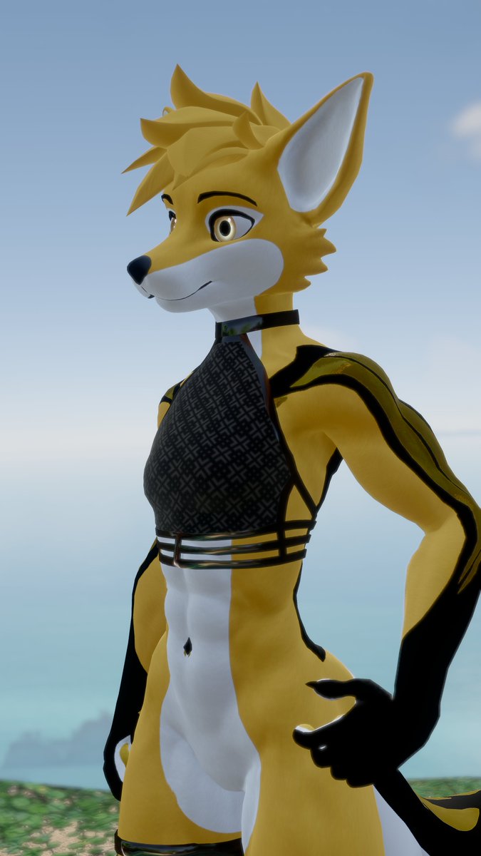 H3nryWolf tweet media