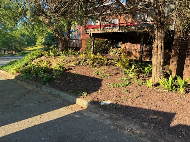 palmettolawn's tweet image. Fresh mulch and cleaned-up beds make all the difference this time of year. Spring is the perfect time to get your landscaping looking sharp before everything really starts growing. Give us a call if your yard needs some attention! #SpringCleanup #MulchingService #LawnCare #Gre...