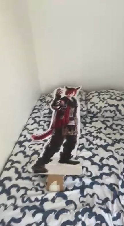 Pour fêter le fanfest petit reminder de la surprise faite pour Mae l’été dernier 🙌