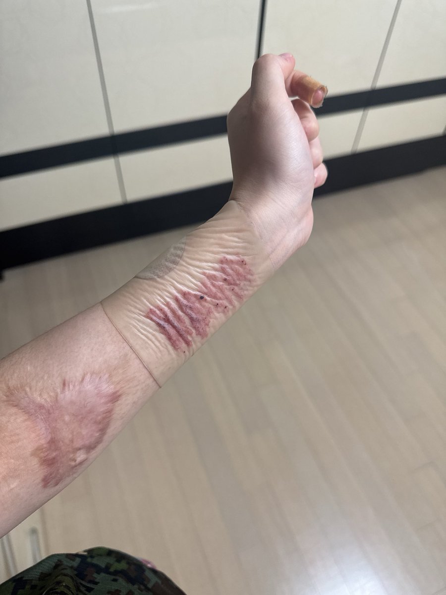 마카론 tweet media