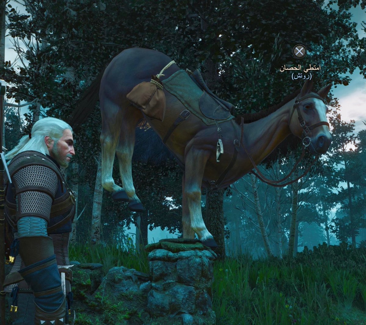 Ryun 📦❗️⁎⁺˳✧༚ tweet media