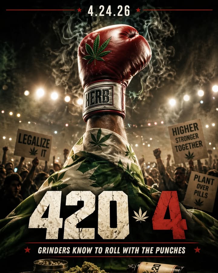 highprofileofficial tweet media