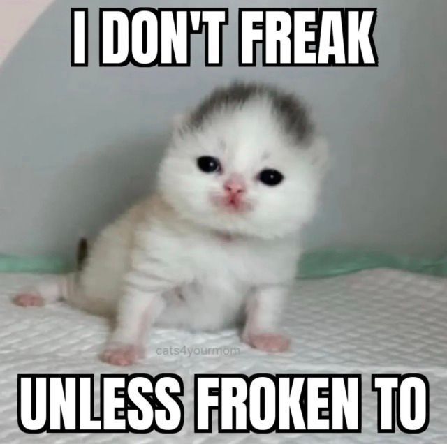 horse dentist tweet media