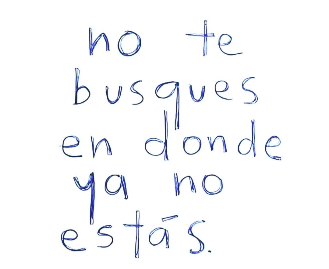 PilarHaces tweet media