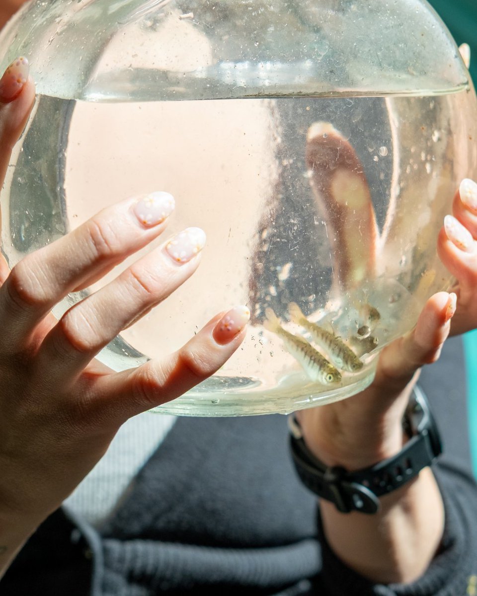 PACIFIC SALMON FOUNDATION tweet media