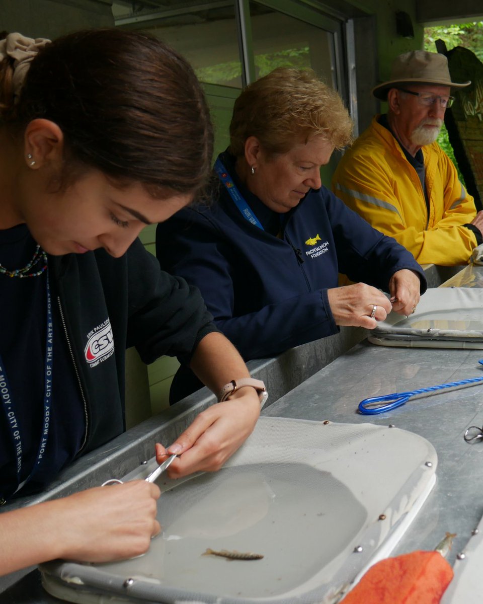 PACIFIC SALMON FOUNDATION tweet media