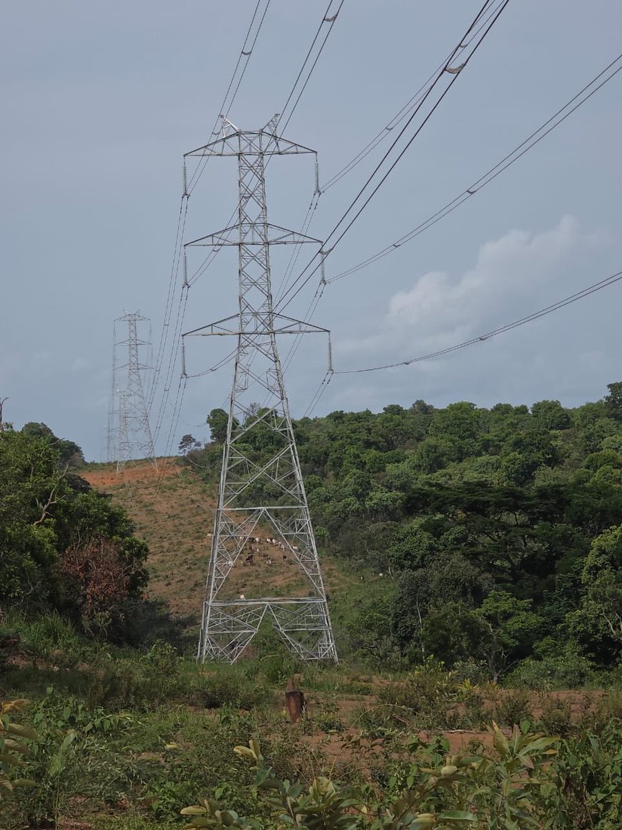 pirectcameroun's tweet photo. ✨ Fin de semaine… cap sur le week-end
Ce qui semblait encore ambitieux hier devient aujourd’hui une réalité tangible. Les lignes bougent

🚀 Plus qu’un projet, c’est un tournant.
Un symbole d’unité, de développement et d’opportunités.
#pirect #cameroun #Tchad
#sonatrel
#minee https://t.co/S21ThTYlVL