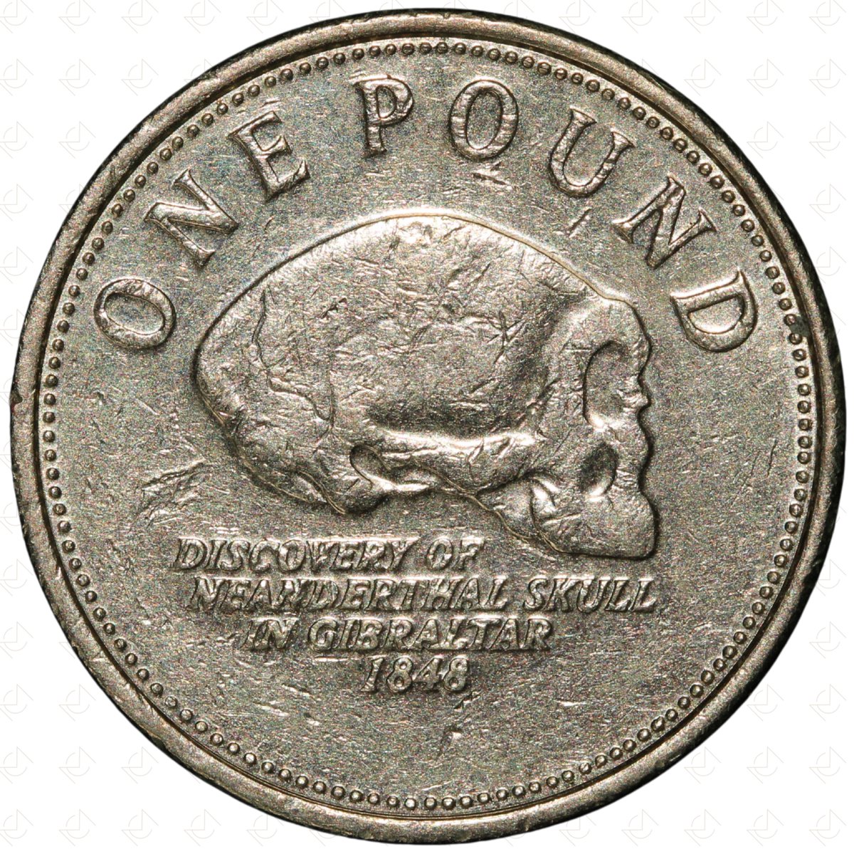 MansbridgeCoins's tweet image. 2008 Gibraltar Elizabeth II £1 Coin – Neanderthal Skull – Nickel-Brass

Starting Price: £3.00

Currently at 7-day auction — bid before it's gone!

📦 £3.25 UK shipping
🌍 Secure international delivery
🔗 ebay.co.uk/str/mansbridge…

#Coins #MansbridgeCoins #CoinCollector