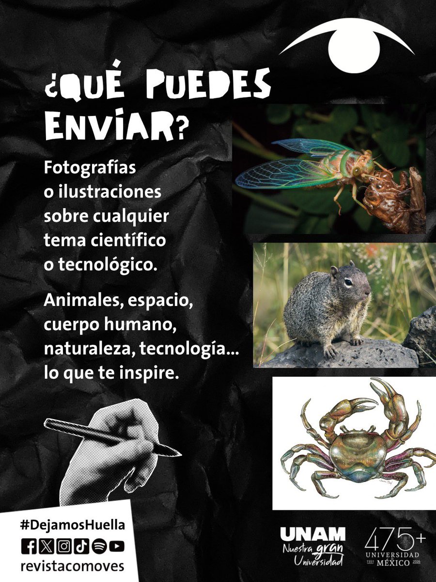 @revistacomoves tweet media
