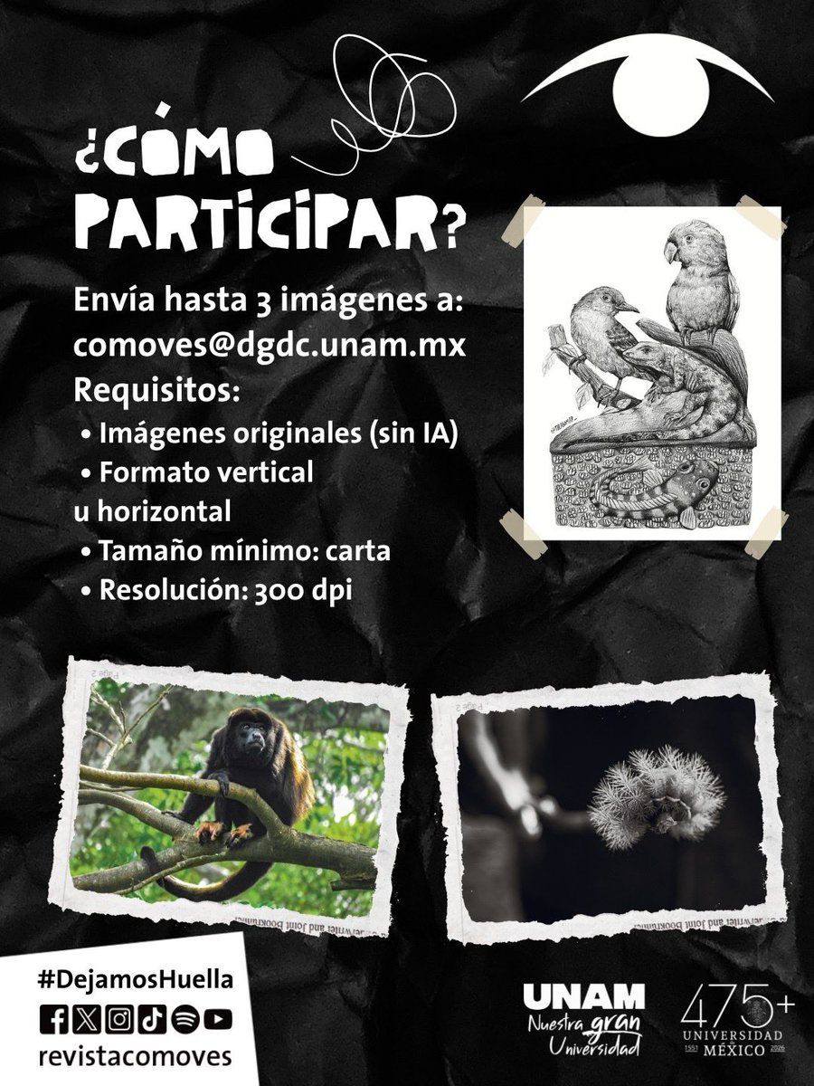 @revistacomoves tweet media