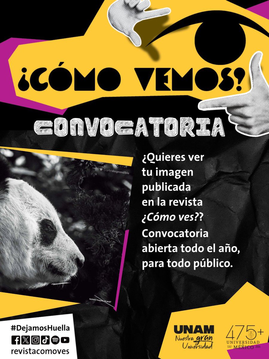 @revistacomoves tweet media