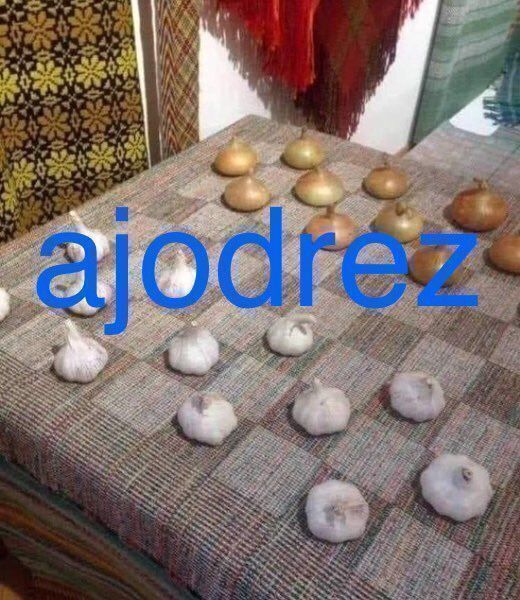 chincheto pirata somali tweet media