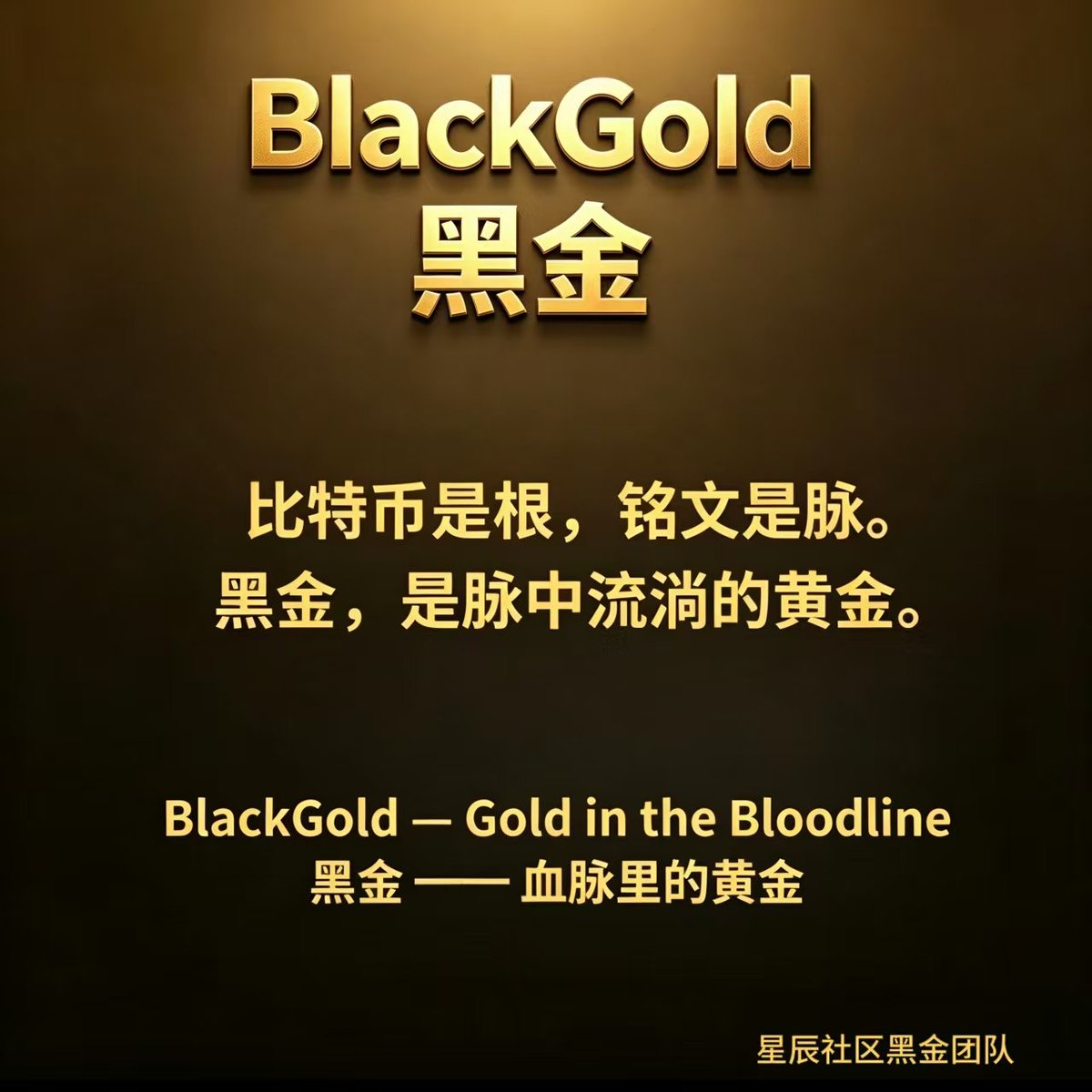 SijueQ26060's tweet image. 🔥 4月27日宁波，铭文黑金(𝜫)线下会员日。
线上聊千遍不如见一面。不是电话视频，是面对面。信任不需包装，共识靠眼神。
刘博士讲比特币底层逻辑、安全、铭文的未来。
迷茫？来现场，你提问，你判断。不画饼，只有真诚。宁波欢迎你🤝
#铭文黑金(𝜫) #BRC20 #星辰社区