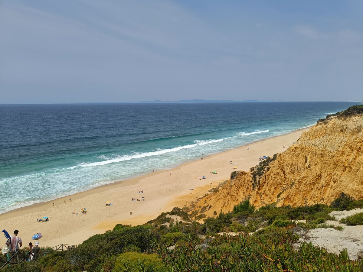 gomez_mariscal's tweet photo. Want to do a PhD in biomedical research and explore the exciting world of AI, microscopy+cell biology?👾🧫🔬 In a🔝research environment🌟 and beautiful Portugal🏄🌸?
PhD fellowships open at @NIMSB_NOVA (May-4 til June-5) 👉 APPLY https://t.co/OUuOAE83GP Reach out if interested!✉️ https://t.co/7i6LXejgNe