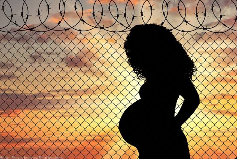 Sammi🦋 tweet media