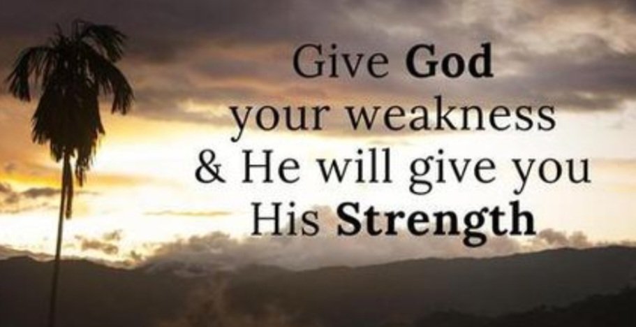 Advocate Mom tweet media