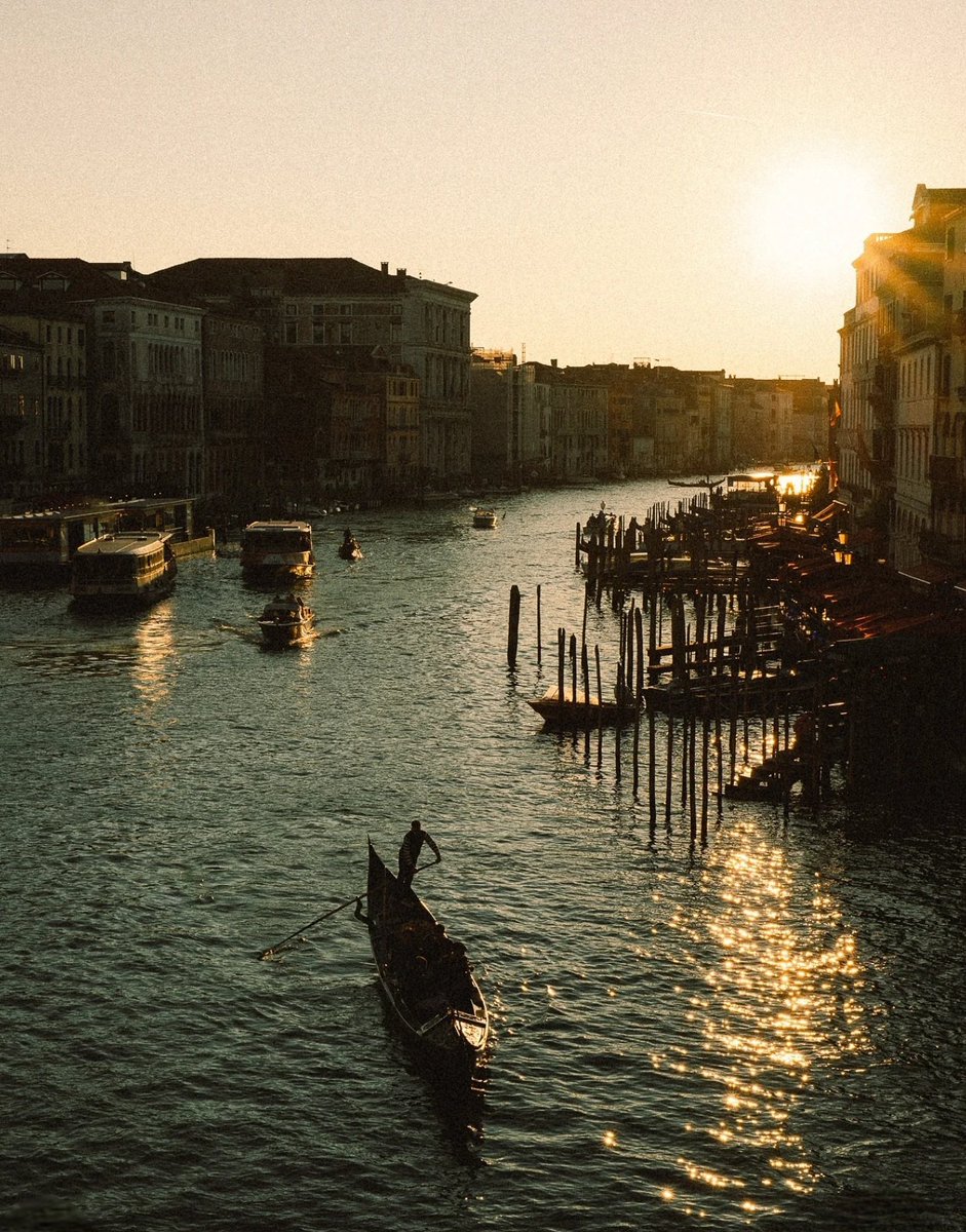 Monica 🍀⚘️🌍📚🐞🎧 tweet media