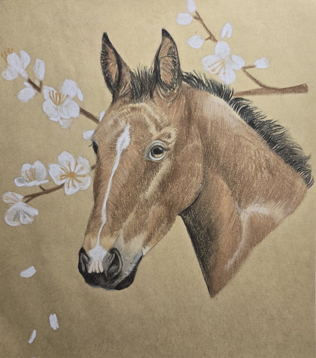 Mari478697's tweet image. foal pastel 🐎

#art #artwork #horse #horseart #pastel