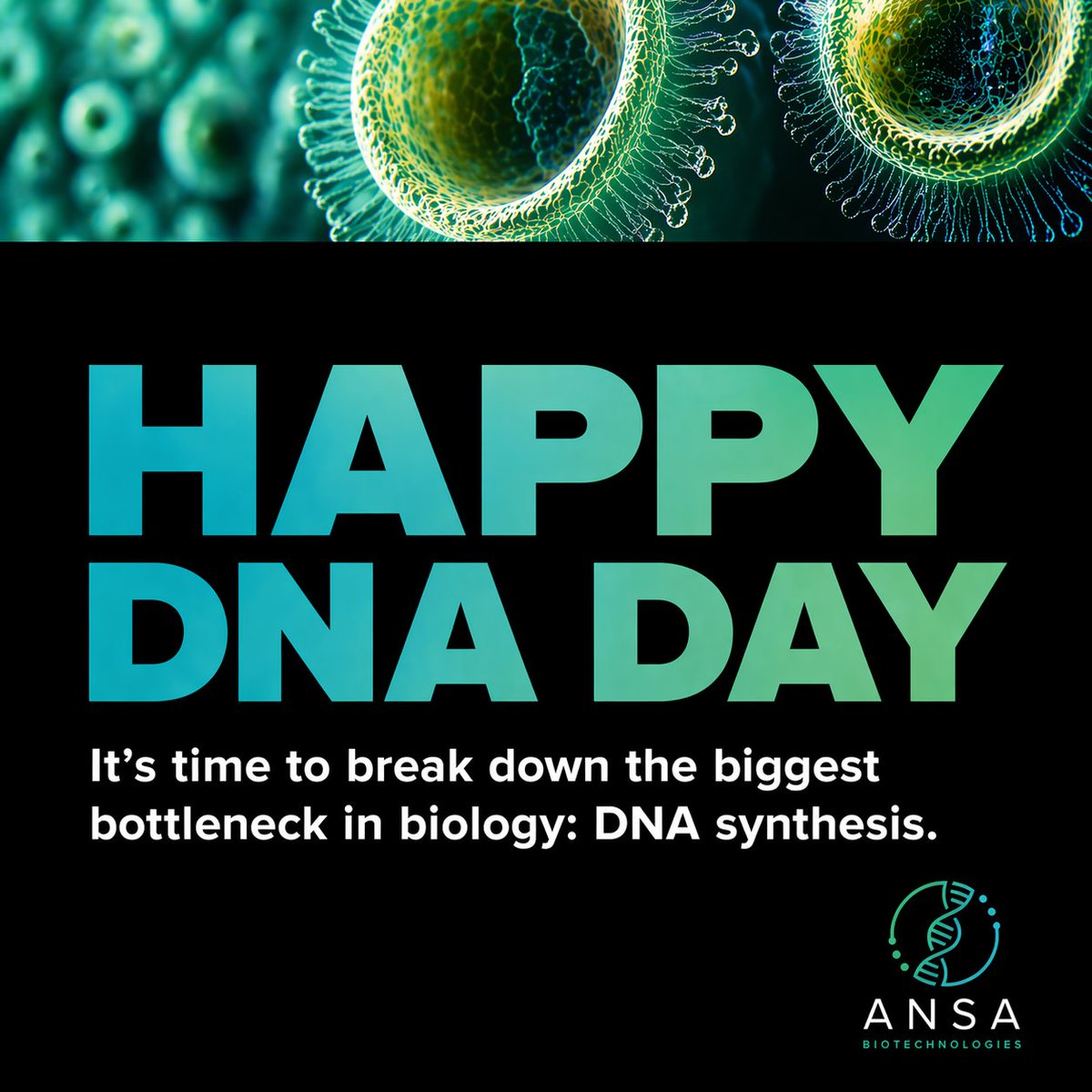 Ansa Biotechnologies tweet media