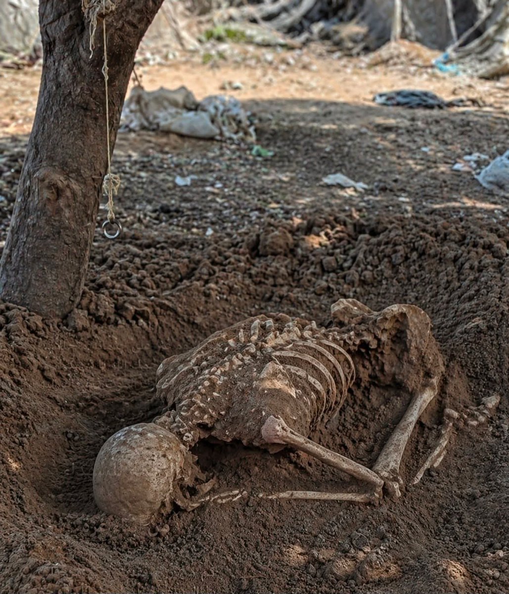 dr. mohammed hamad - Gaza tweet media