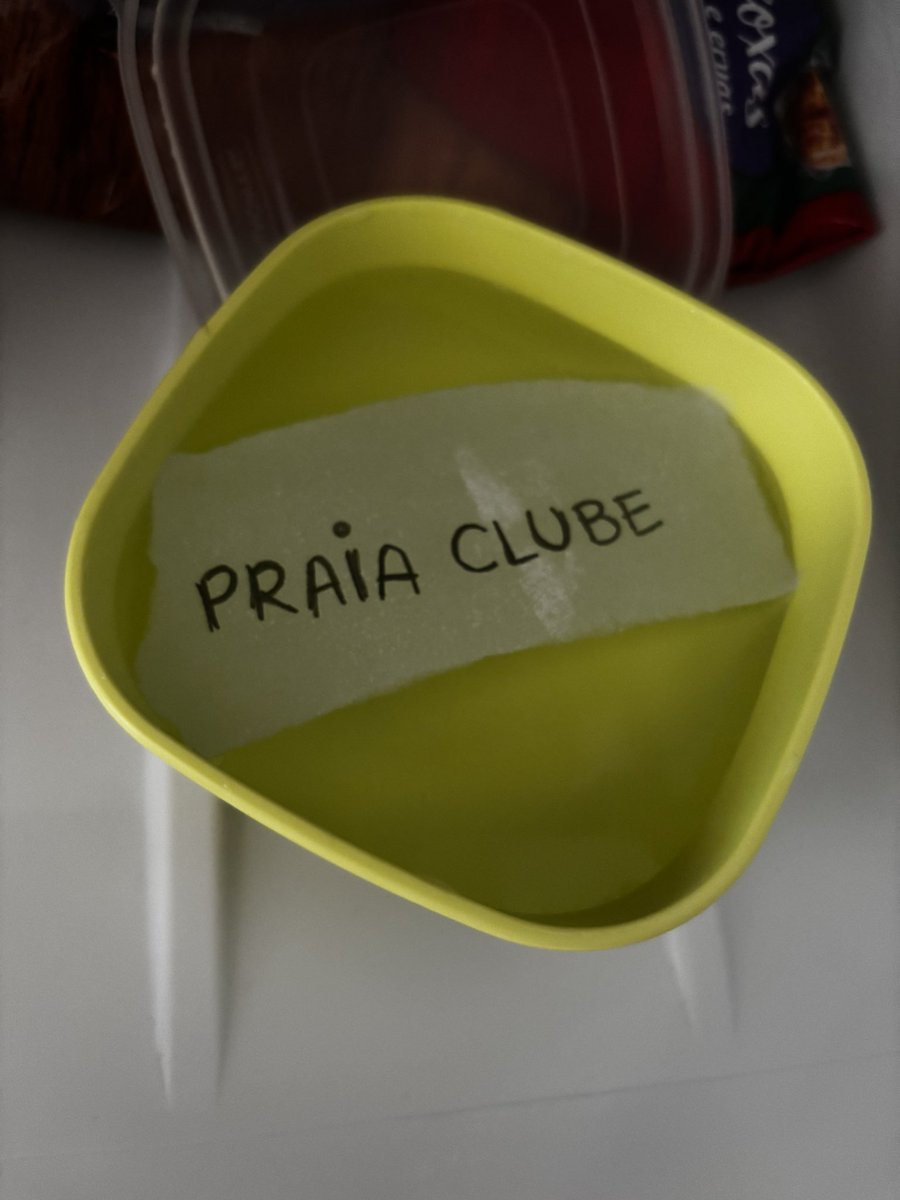 fernanda tweet media