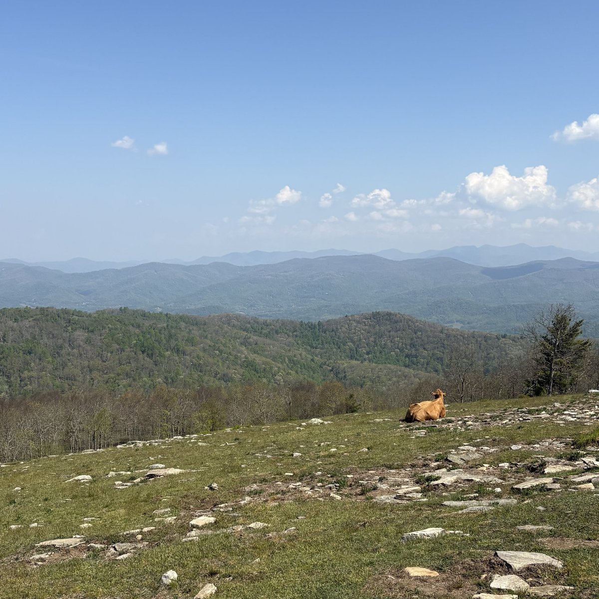 valentine (⃔˄𖦹 ·̫ 𖦹˄)⃕੭ु⁾⁾ ༘ tweet media