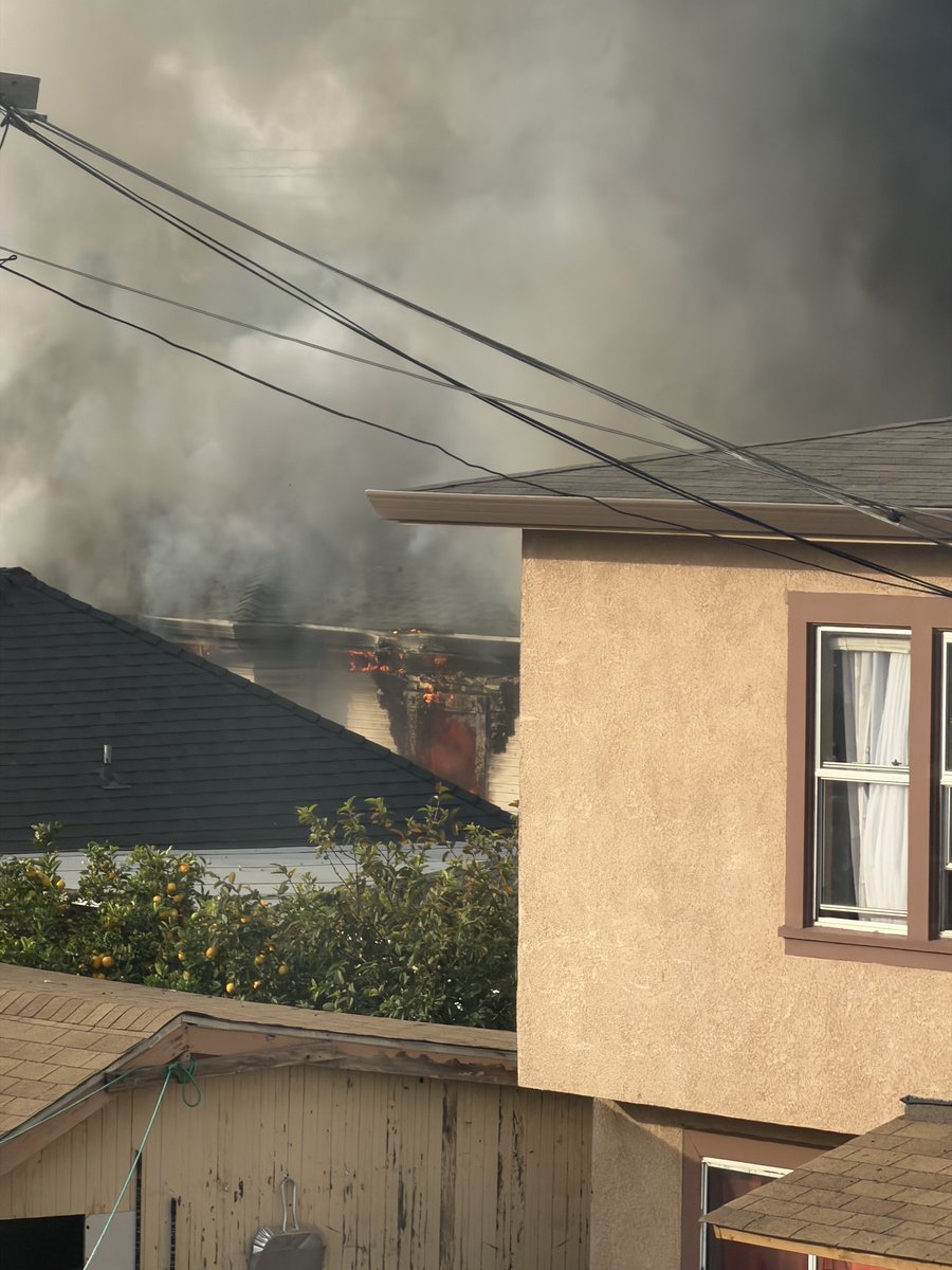 Ms. Laney Denise Kermani tweet media