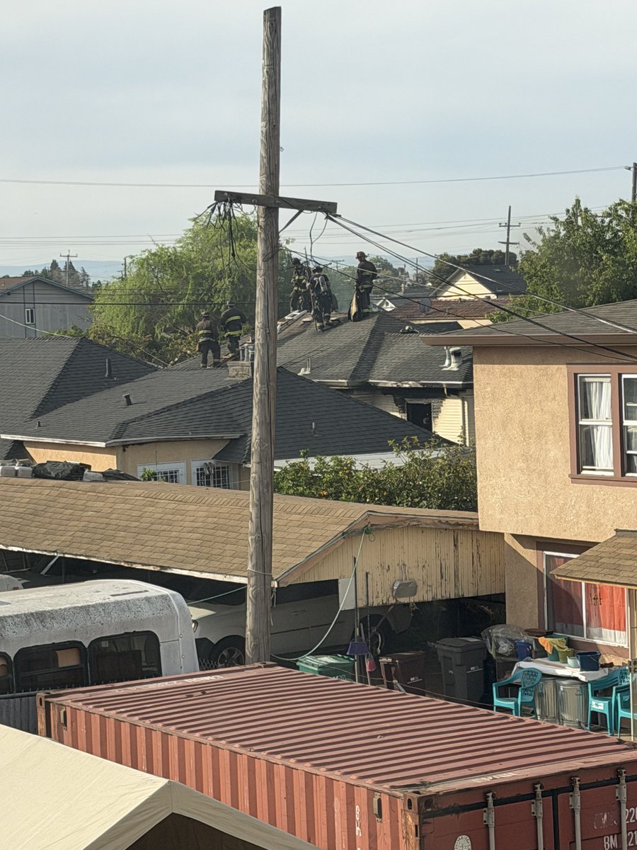 Ms. Laney Denise Kermani tweet media