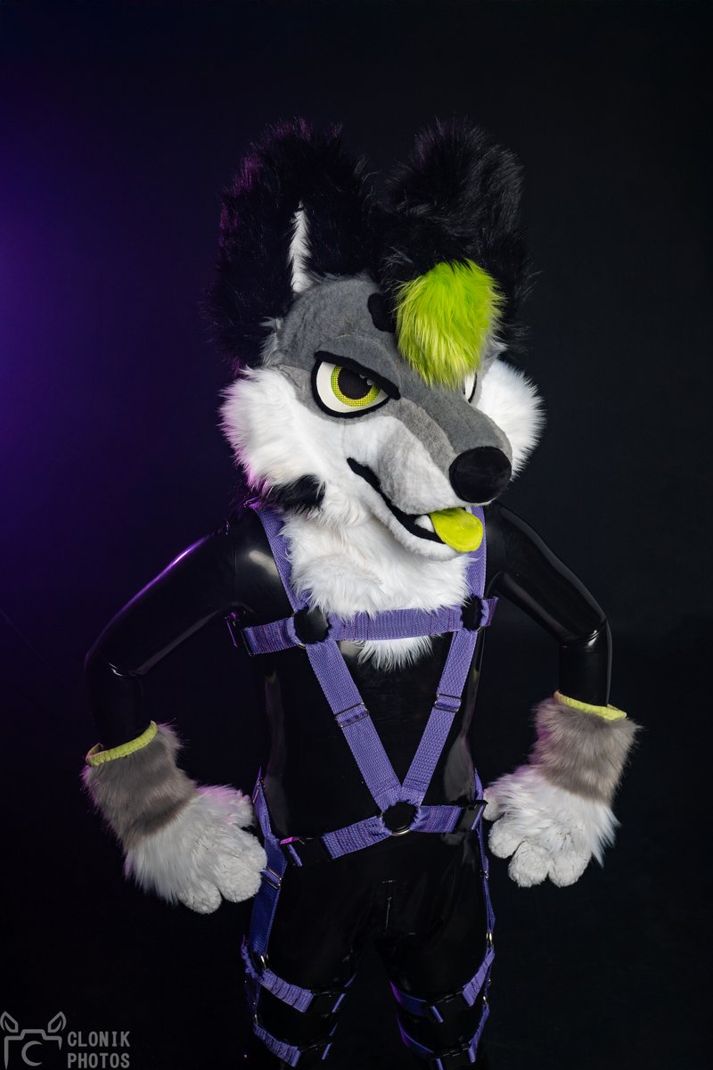 ShinyEmagan's tweet photo. Are you gonna use the harness, or just stare ?

📸: @cloniksphotos https://t.co/5YW9q4zrTi