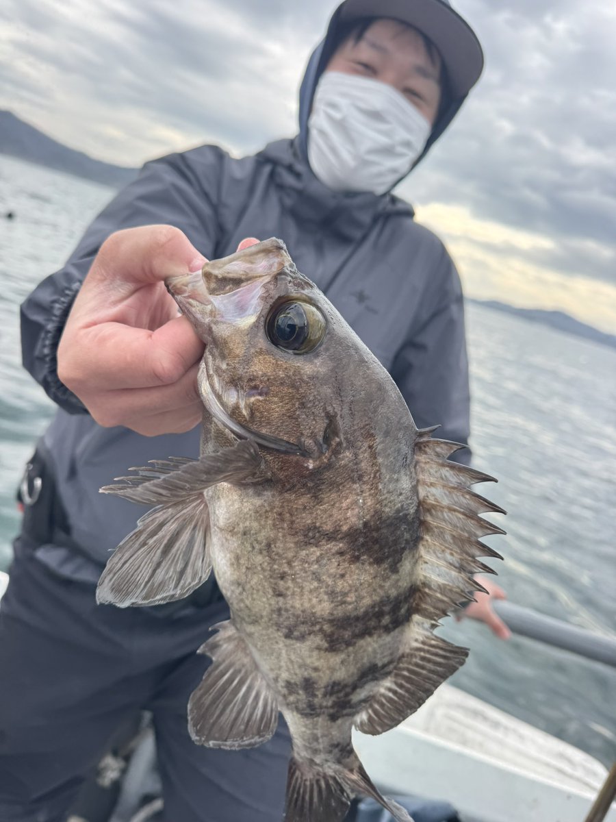🐟️フィッシングガイド勝栄丸🎣🚢 tweet media