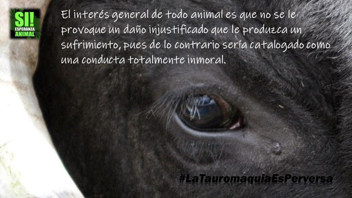 #CDMXsinTauromaquia tweet media