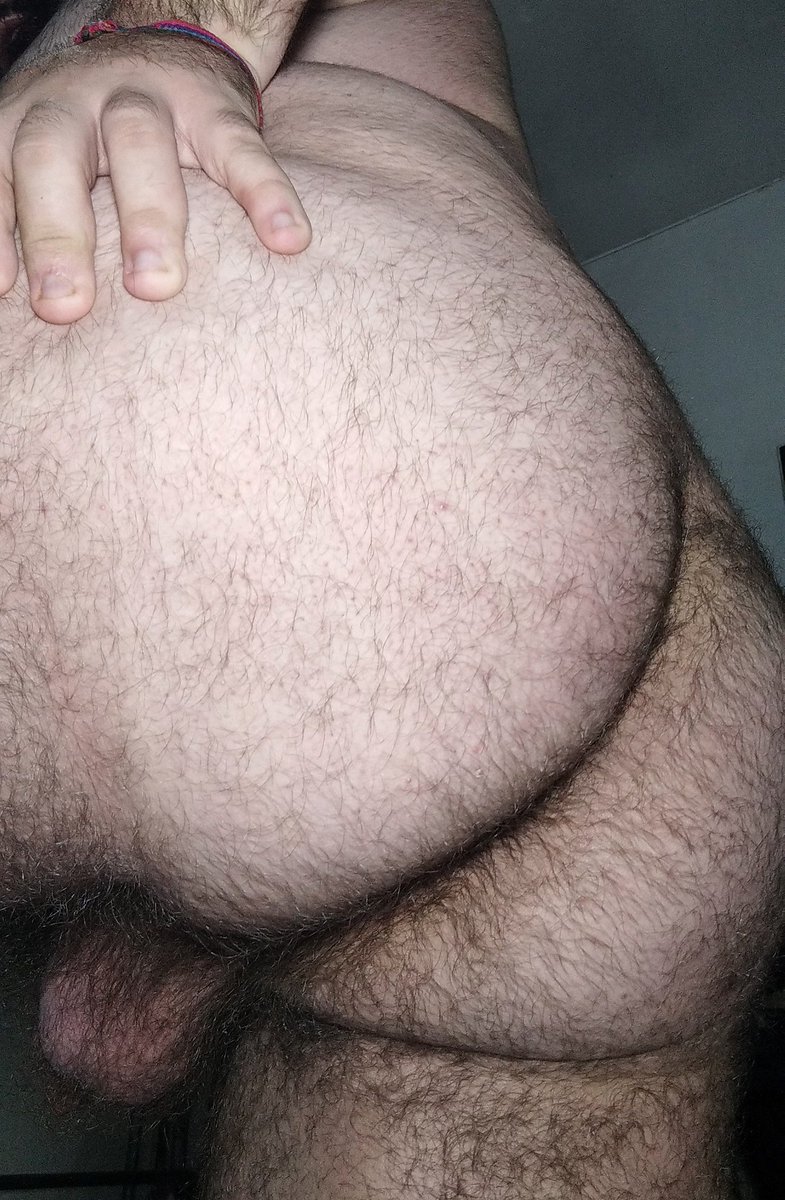 lipe 🐻 tweet media