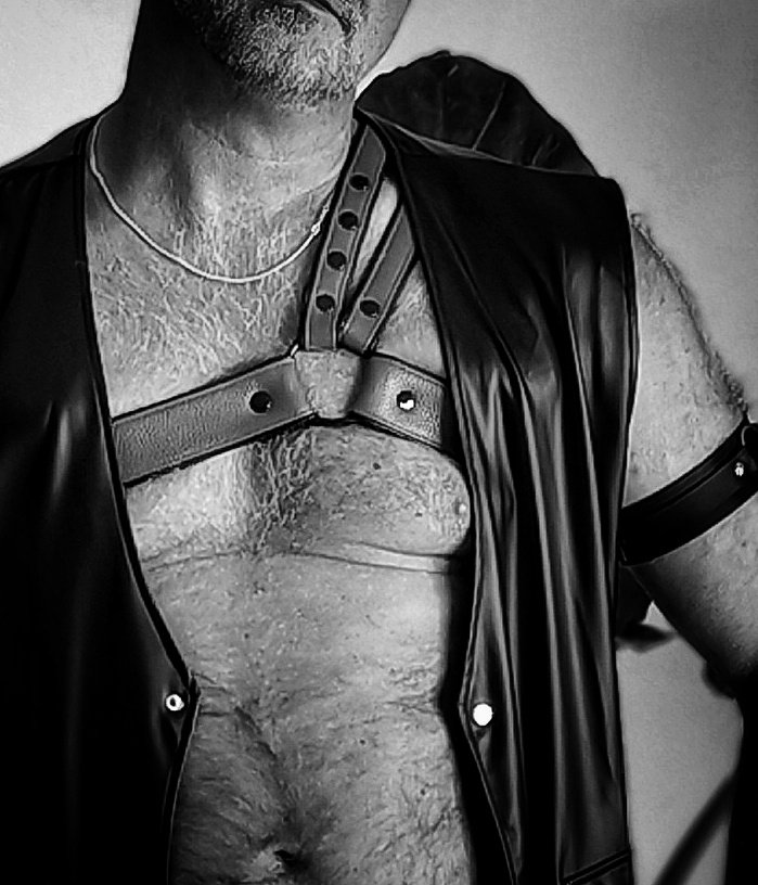 Dutch Daddies tweet media