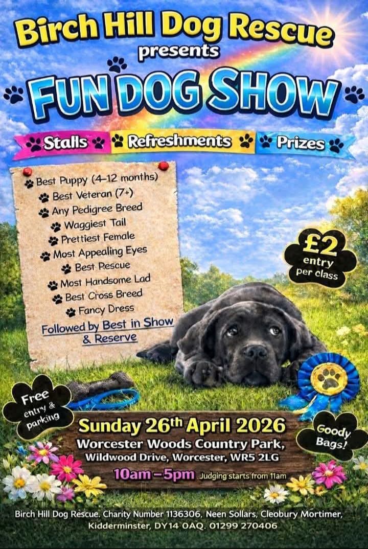 SeniorStaffy's tweet image. 🐕HAPPENING THIS SUNDAY 🐕
Our friends at Birch Hill Dog Rescue have invited us to have a fundraising stall at their upcoming event.
Fun Dog Show on Sunday 26th April at Worcester Woods (Postcode WR5 2LG) 🐾
Pls pop along &amp;amp; say hi if you are in the area, we'd love to meet you 😊