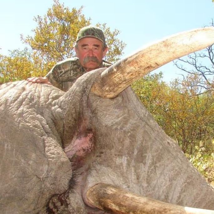 The News tweet media