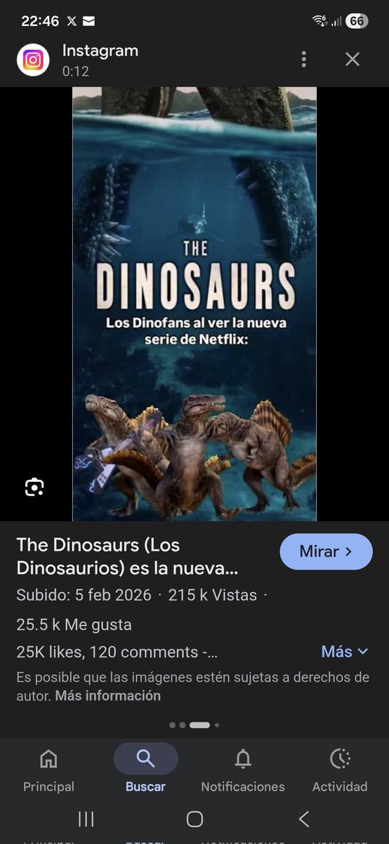 maria-jose meira tweet media